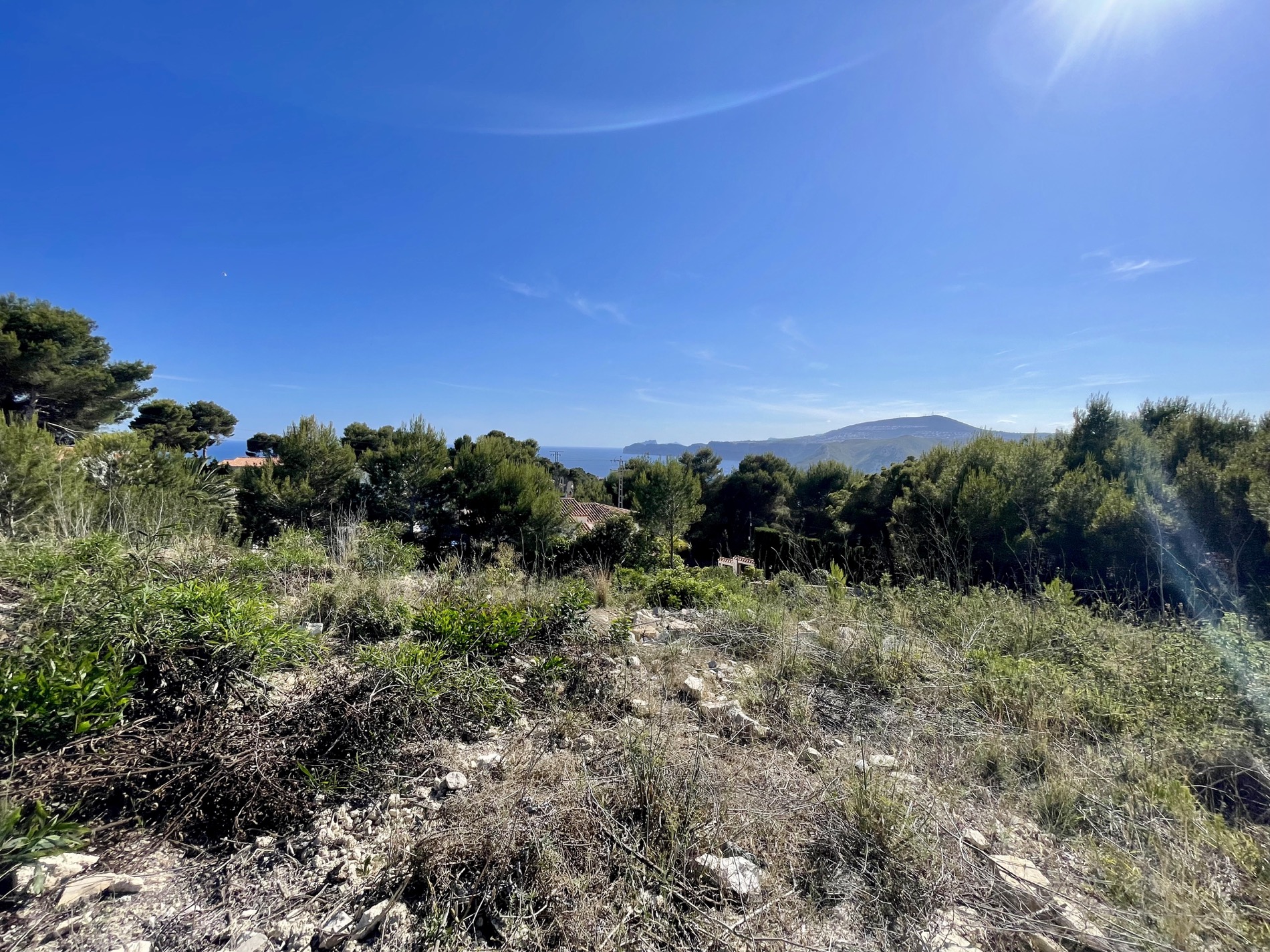 Vista panorámica desde la parcela elevada hacia el mar Mediterráneo y el cabo, rodeada de vegetación autóctona y pinos bajo un cielo despejado.