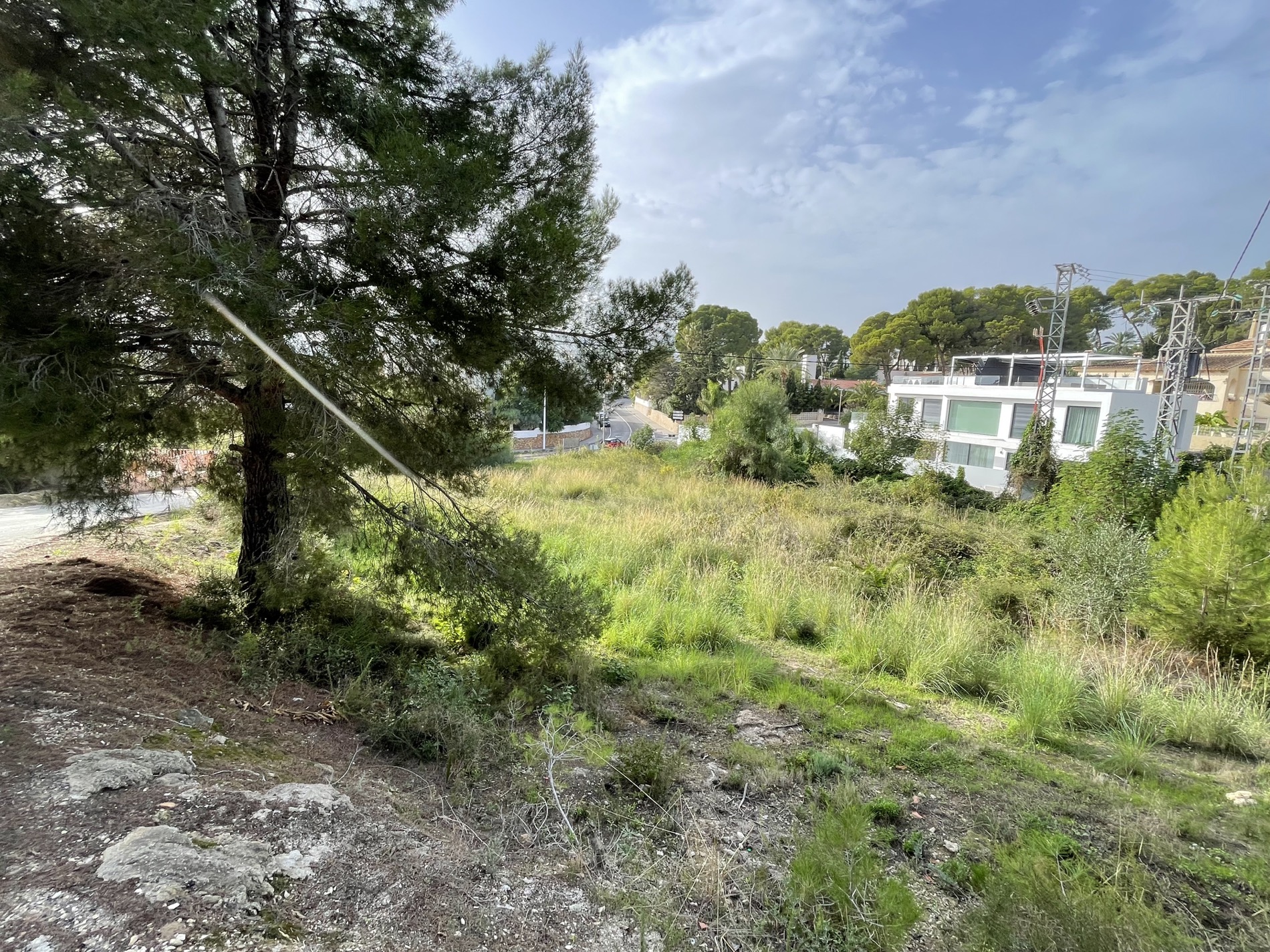 Parcela elevada con vegetación mediterránea autóctona y pinos maduros, ofreciendo vistas despejadas hacia el entorno residencial y acceso por carretera en Moraira.