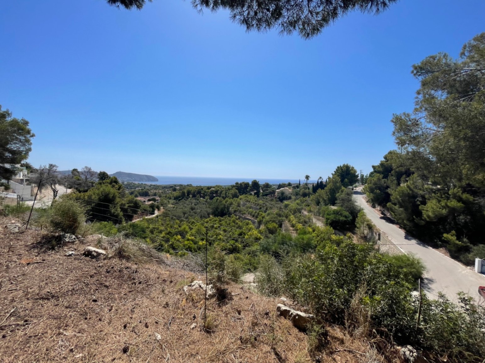 Vista panorámica al mar Mediterráneo desde la parcela elevada en Benimeit, rodeada de pinos autóctonos y vegetación densa bajo un cielo despejado.