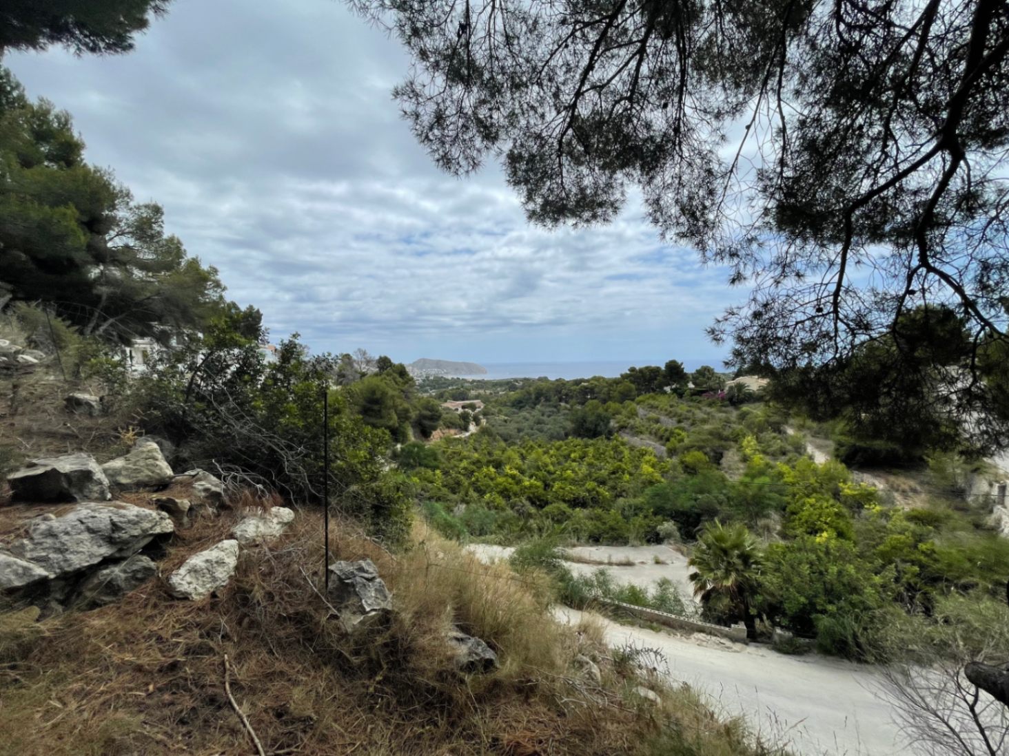 Vista panorámica al mar y al valle desde la parcela elevada, enmarcada por pinos autóctonos y vegetación mediterránea en Benimeit.
