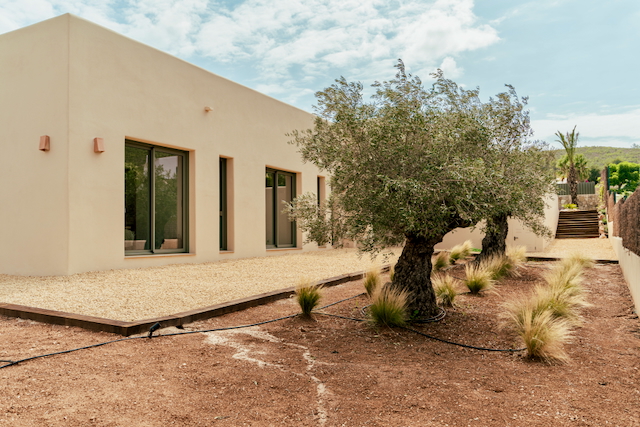 Fachada moderna de tonos arena con ventanales de carpintería oscura, integrada en un jardín mediterráneo con olivos centenarios y grava decorativa.