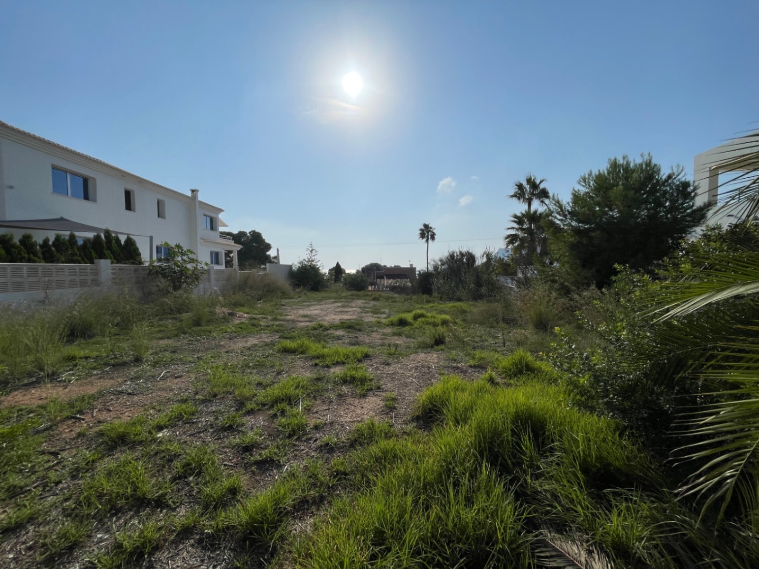 Parcela llana de 856 m² en Bassetes Calpe con orientación sur, rodeada de vegetación mediterránea y villas unifamiliares en un entorno consolidado y soleado.