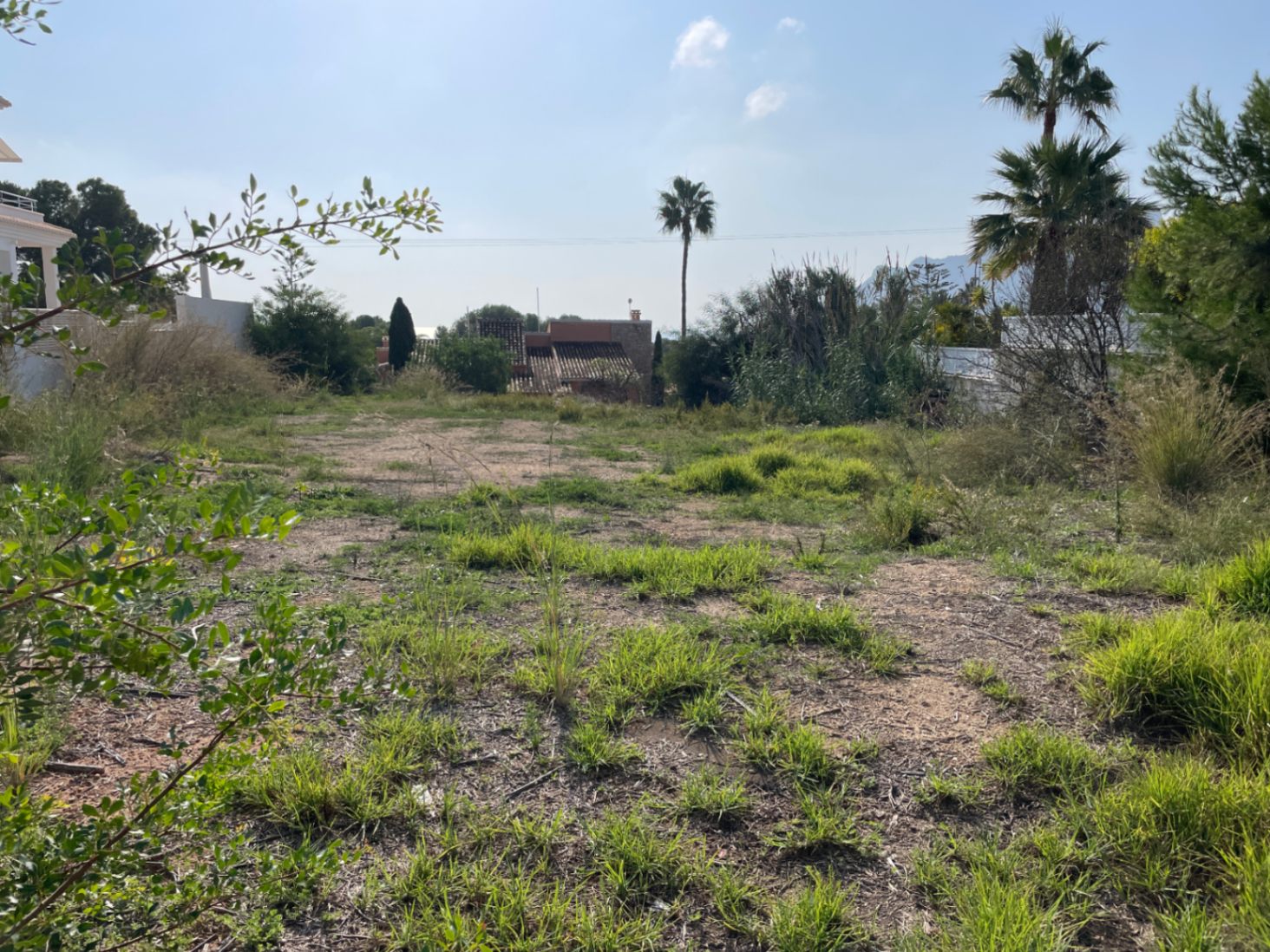 Parcela llana de 856 m² en Bassetes, Calpe, con vegetación mediterránea y orientación sur, ideal para la construcción de una vivienda unifamiliar aislada.