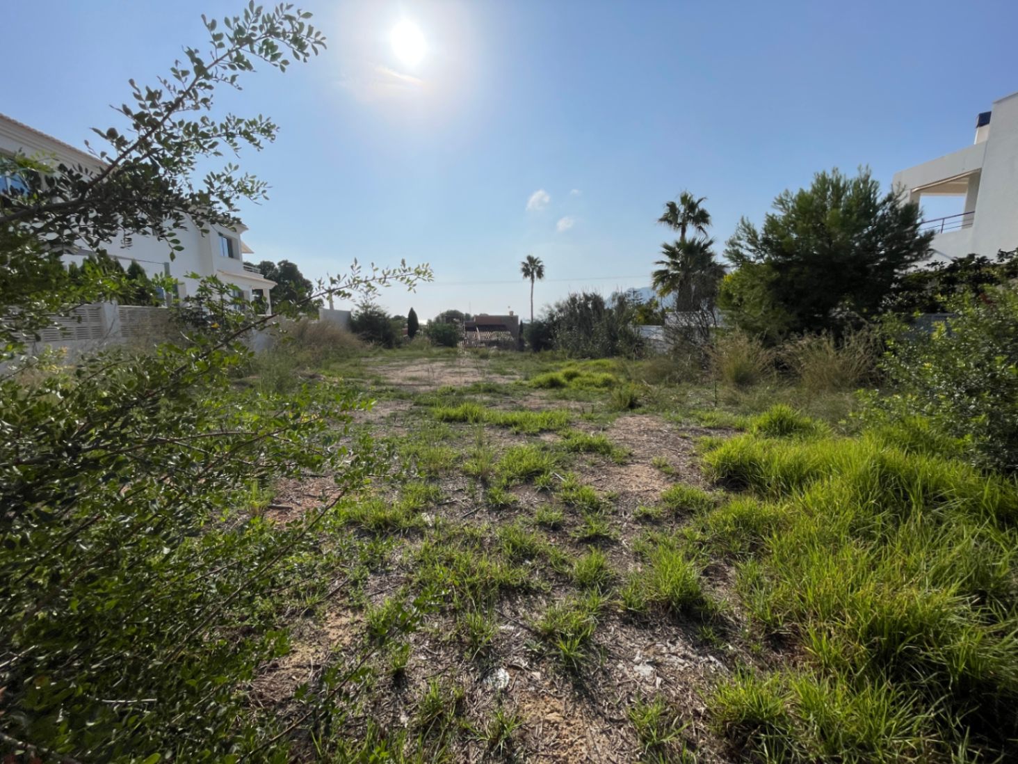 Parcela llana de 856 m² en Bassetes, Calpe, rodeada de villas modernas y vegetación mediterránea bajo una orientación sur soleada.