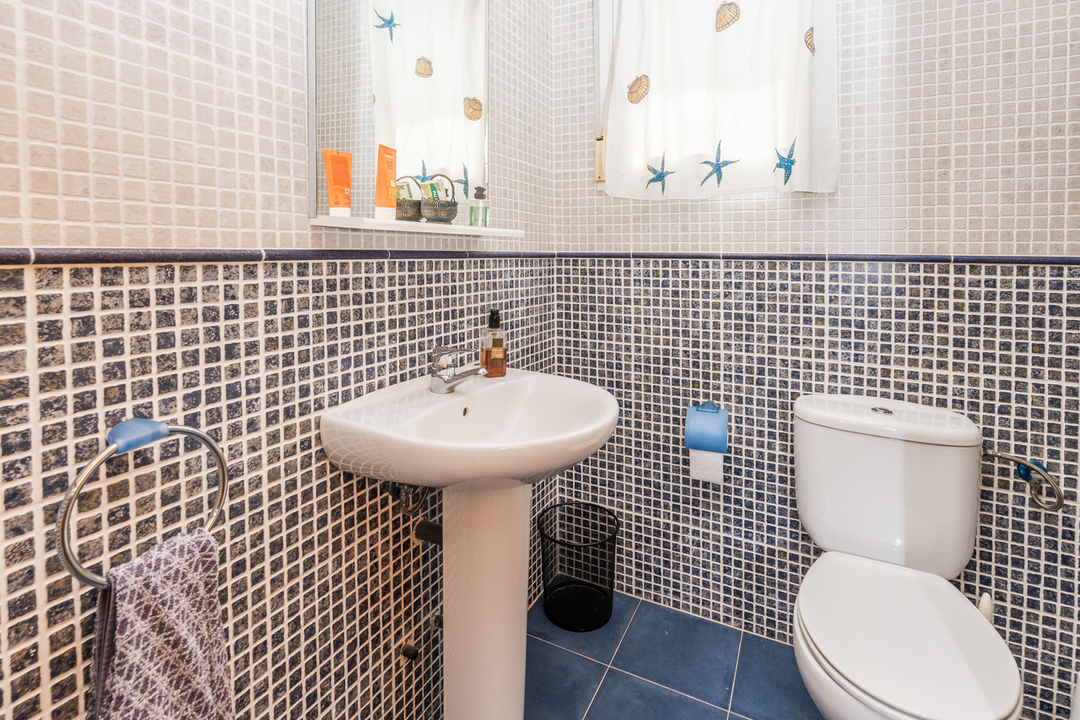 Baño con azulejos de mosaico en azul y beige, lavabo de pedestal blanco y luz natural a través de una ventana con motivos marinos.