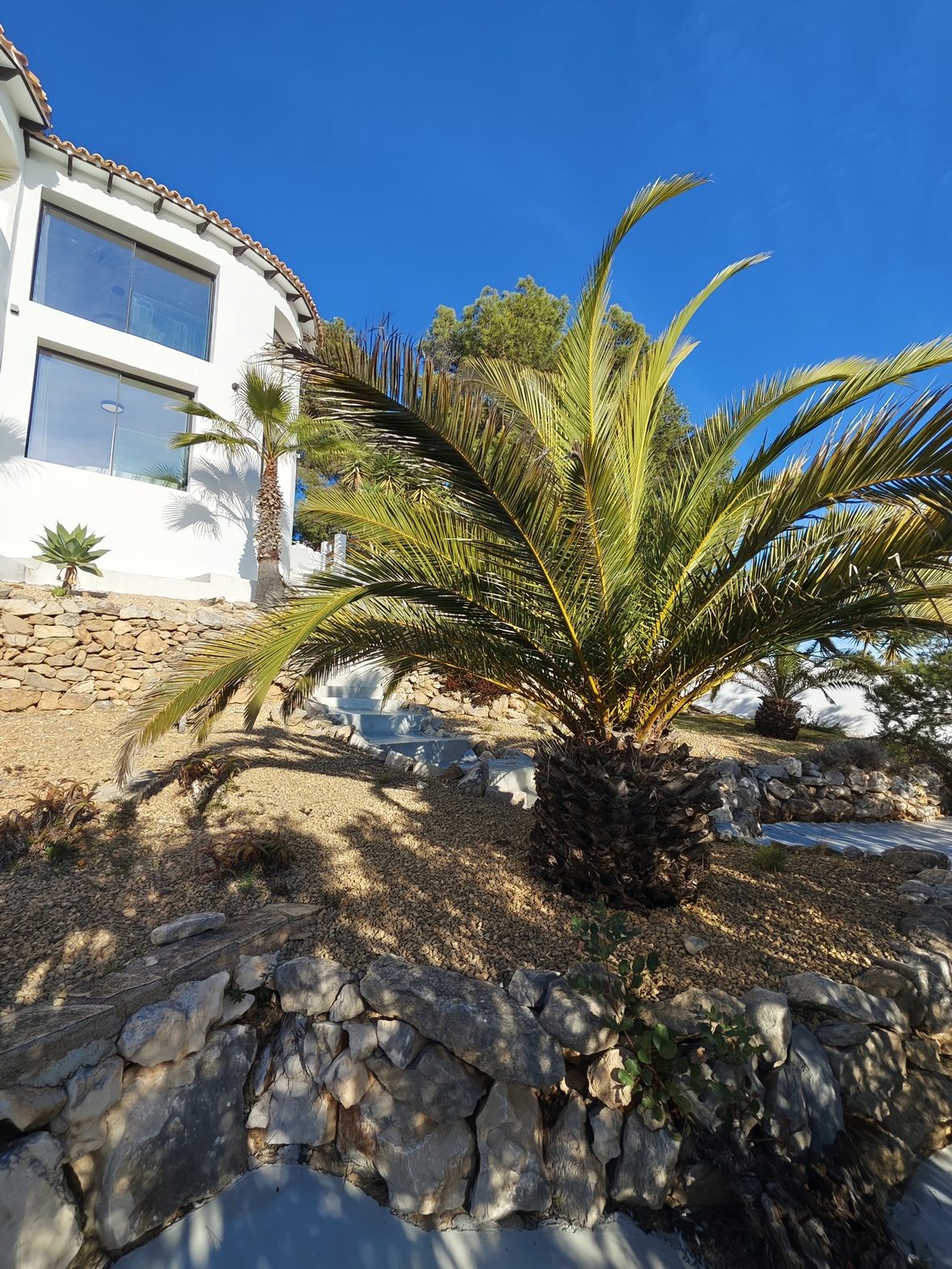 Jardín mediterráneo con muros de piedra natural, senderos de grava y palmeras consolidadas frente a una fachada blanca con amplios ventanales.