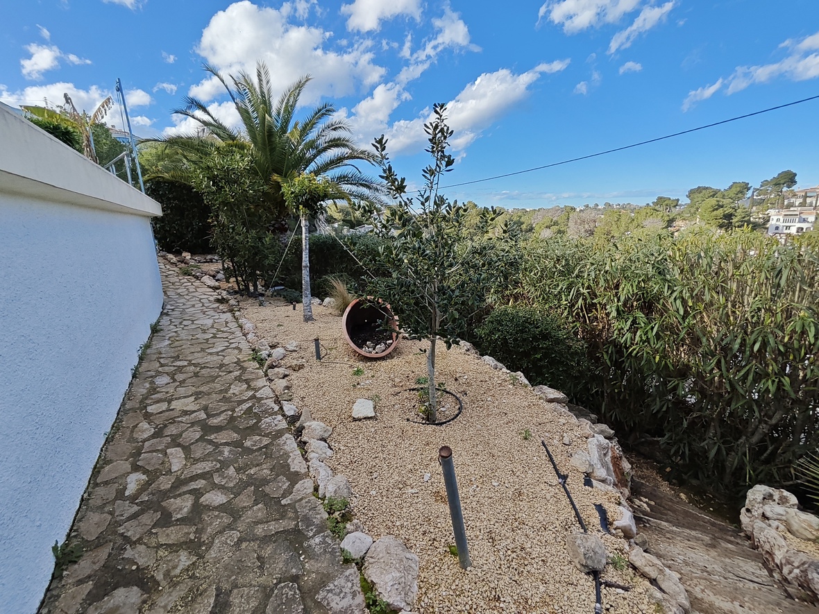 Sendero de piedra natural junto a un jardín mediterráneo con lechos de grava, olivos jóvenes y palmeras bajo un cielo despejado.
