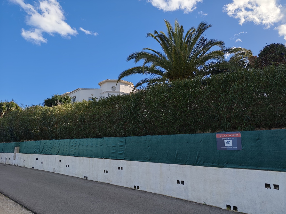 Vista exterior del perímetro de la propiedad con un muro de contención blanco, malla de ocultación verde y una palmera madura bajo un cielo despejado.