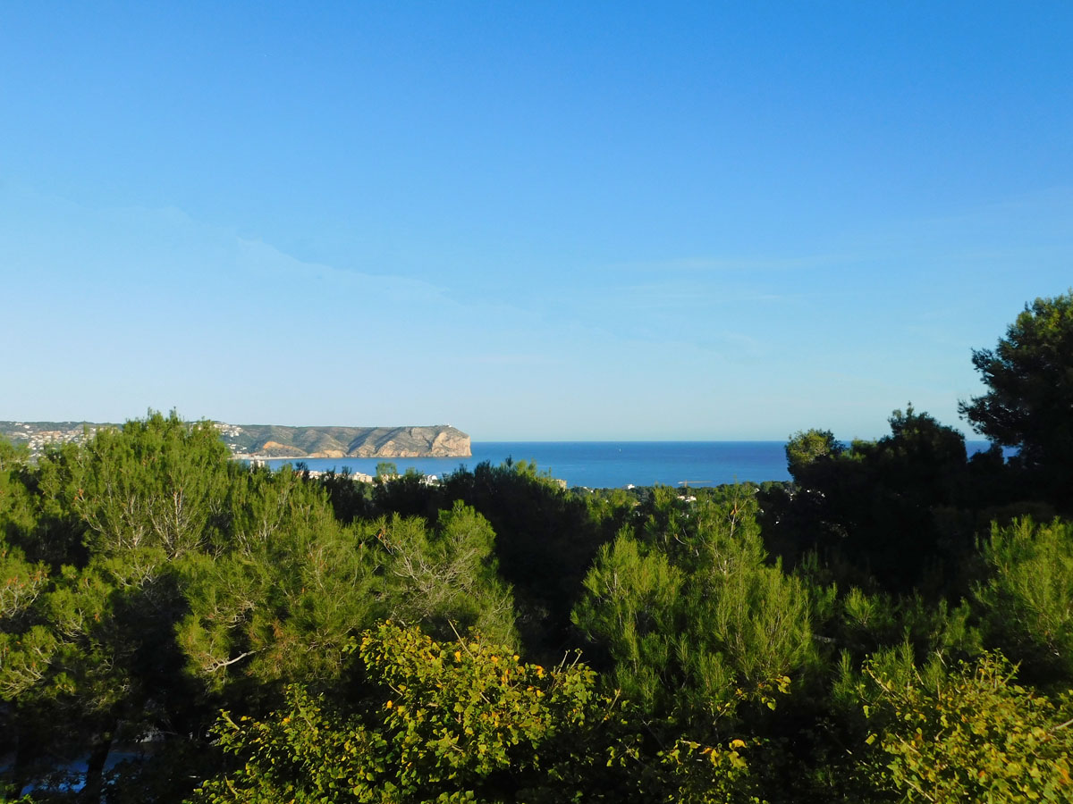 Vistas panorámicas al mar Mediterráneo y al Cabo San Antonio sobre un frondoso bosque de pinos en Jávea.