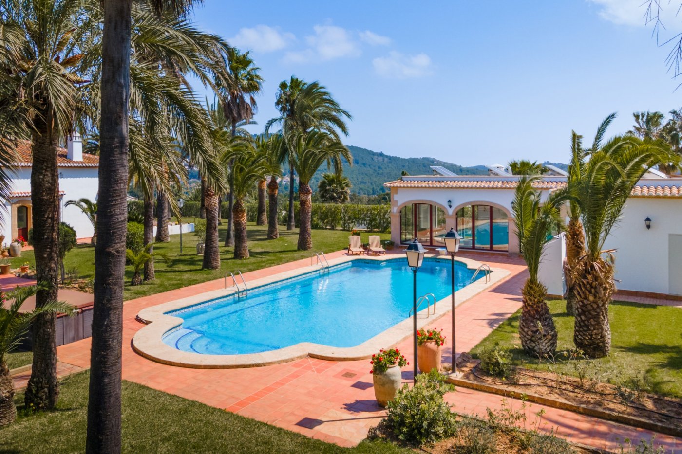 Piscina de 16x7 metros con terraza de terracota, rodeada de palmeras maduras y una casa de invitados con arcos tradicionales y placas solares.