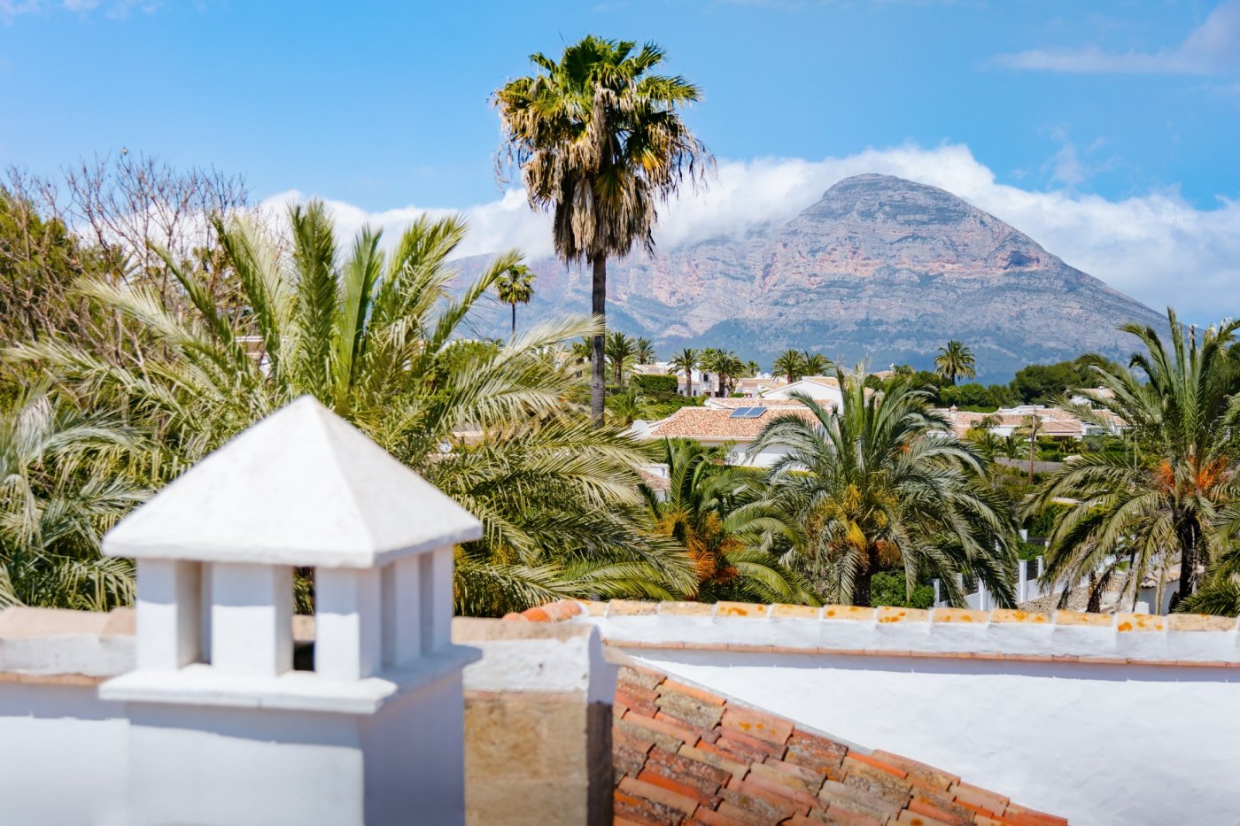 Vistas panorámicas al macizo del Montgó desde la azotea, resaltando la arquitectura tradicional con chimeneas blancas y un entorno de frondosas palmeras.