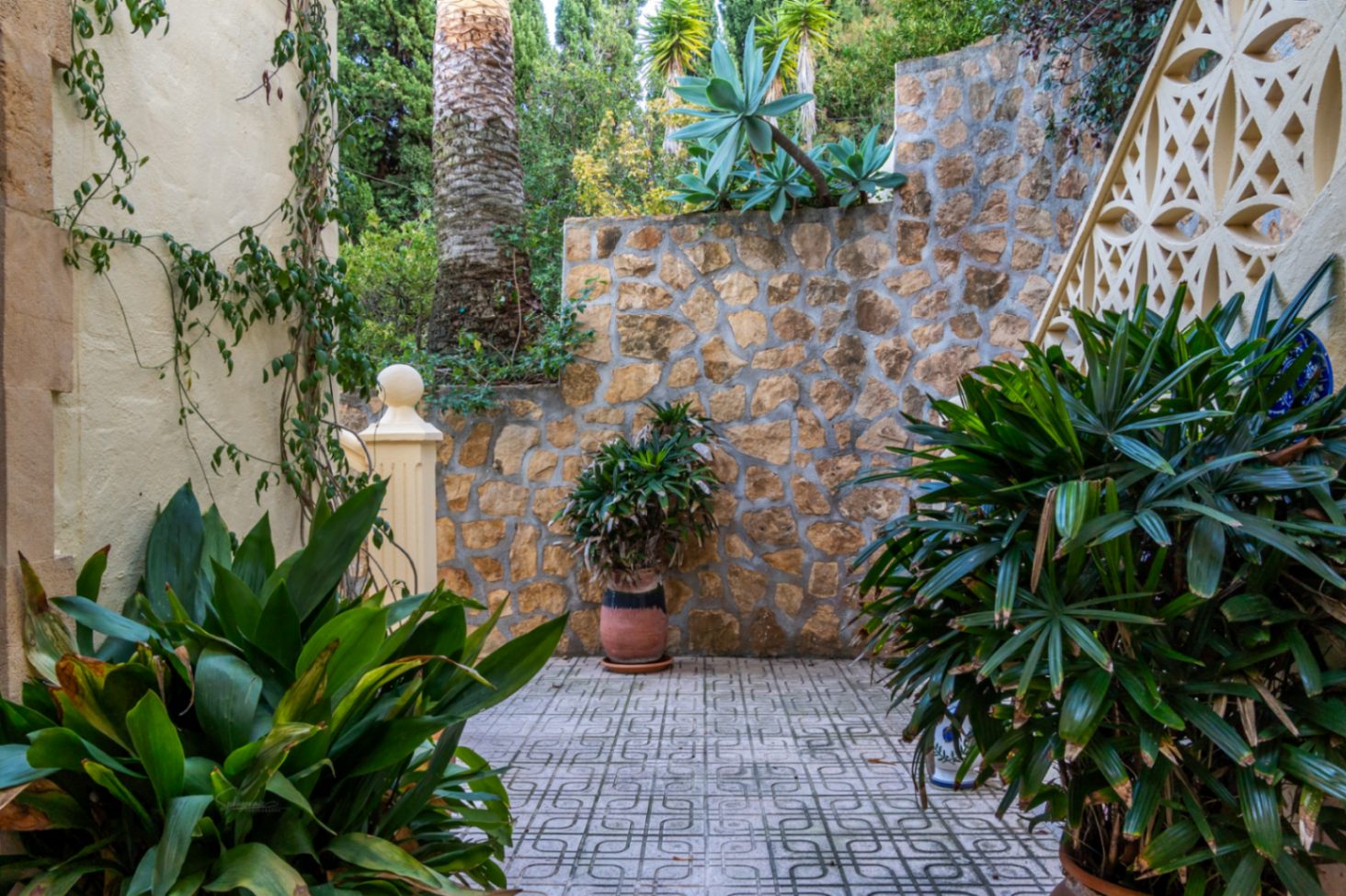 Patio exterior con suelos de baldosa hidráulica, muros de piedra natural y vegetación mediterránea que incluye palmeras y plantas ornamentales.