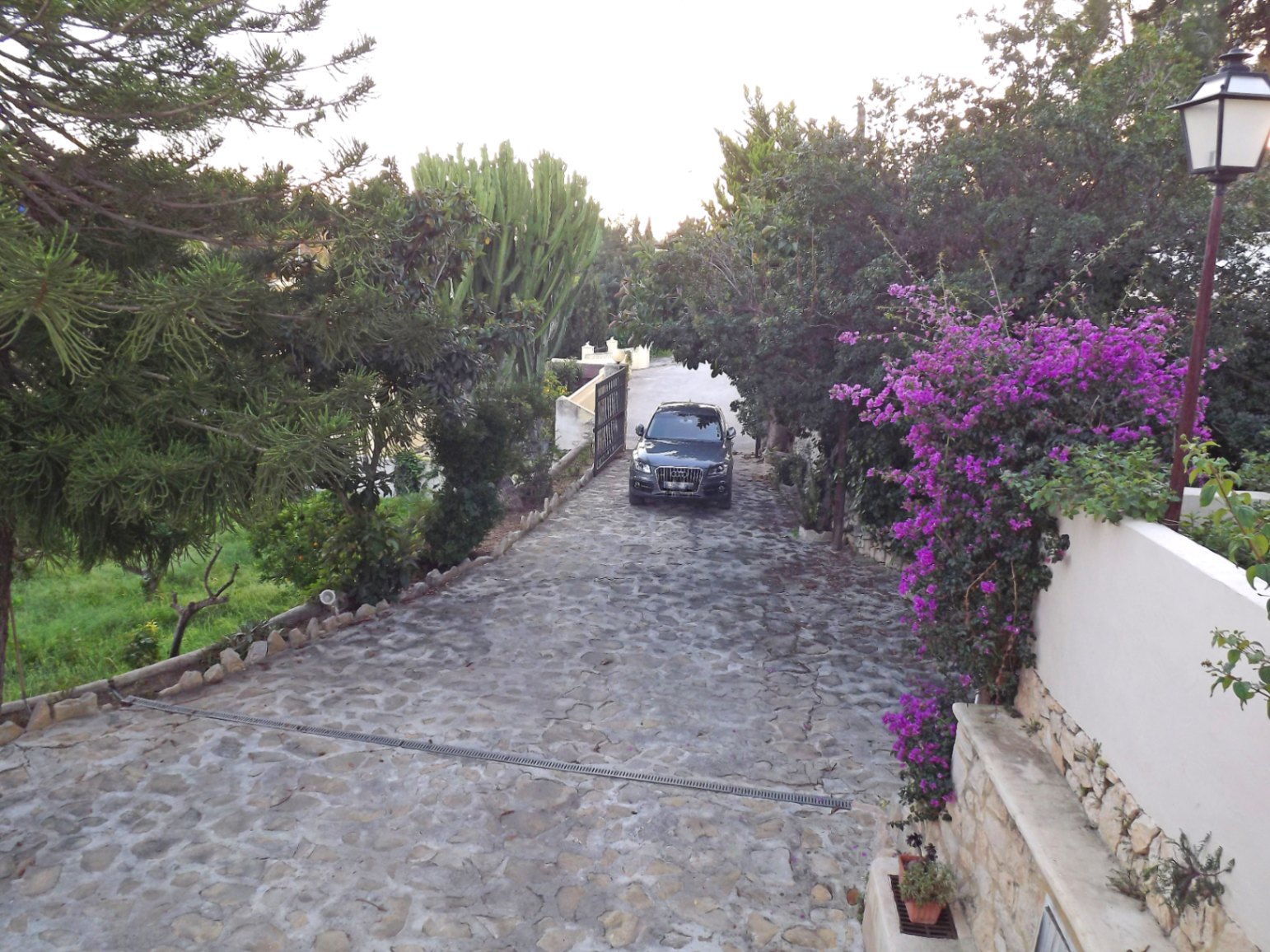 Entrada principal con camino empedrado de piedra natural, rodeada de vegetación mediterránea, buganvillas en flor y cactus de gran tamaño.