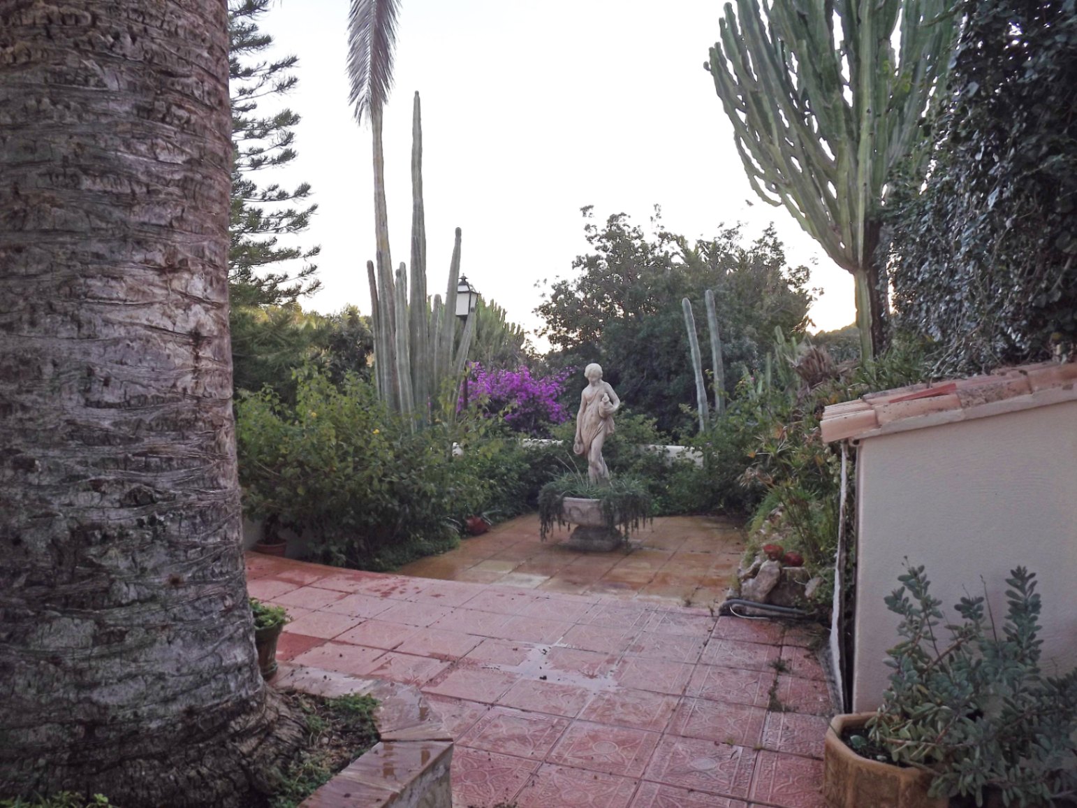Patio exterior con suelos de baldosas cerámicas, presidido por una estatua clásica y rodeado de vegetación mediterránea, incluyendo cactus de gran tamaño y palmeras.