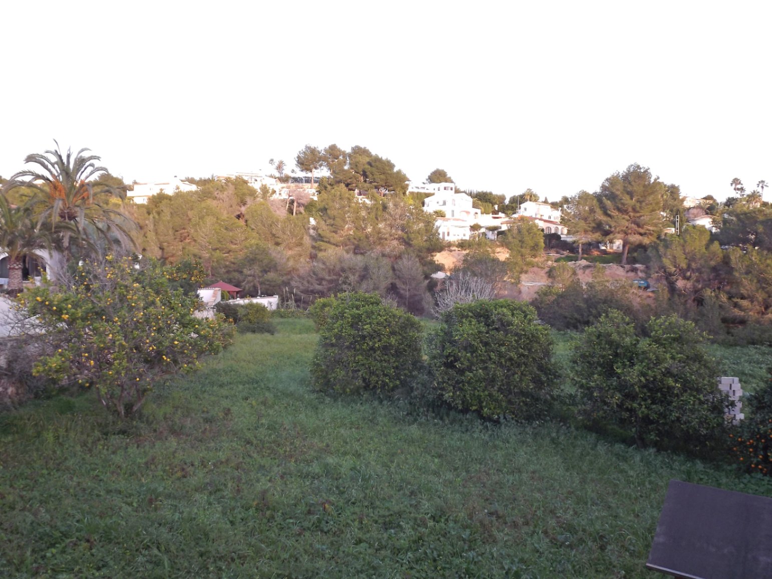 Vista de la amplia parcela rústica con árboles frutales y vegetación mediterránea, ofreciendo vistas despejadas hacia la colina residencial de Benissa.