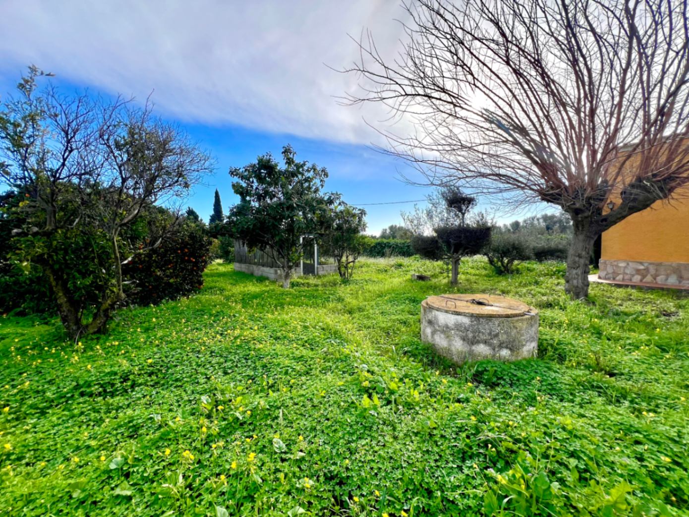 Amplia parcela natural con pozo de agua tradicional, rodeada de árboles frutales y vegetación silvestre junto a la fachada de piedra.