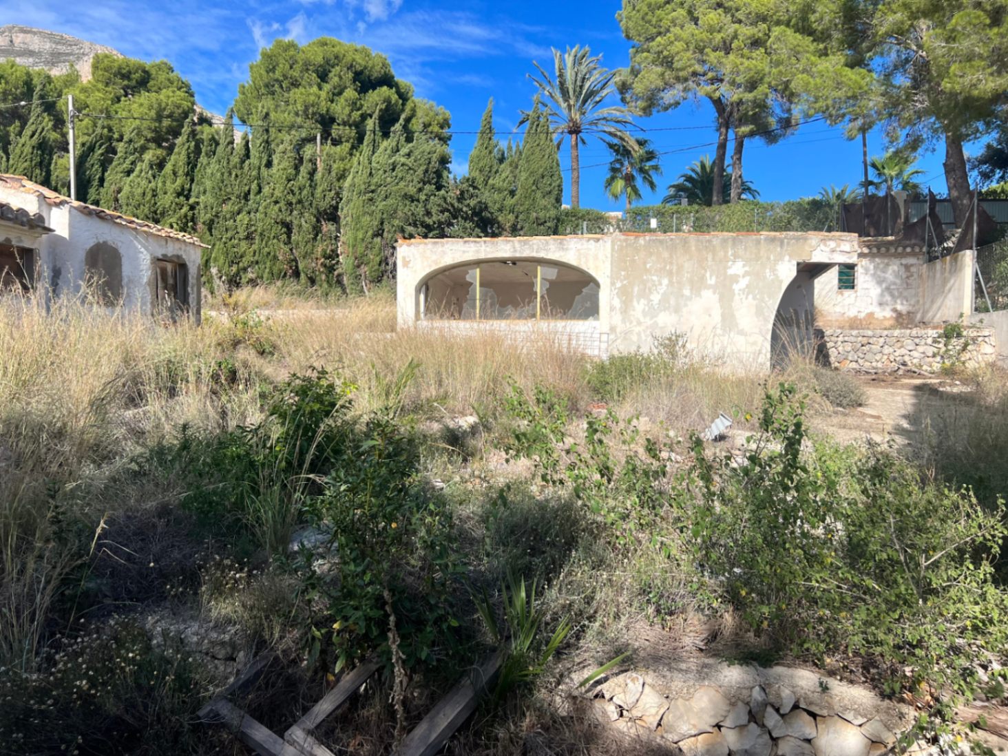 Vista exterior de una construcción secundaria para reformar, rodeada de vegetación mediterránea y pinos, con un gran ventanal de arco y muros de piedra.