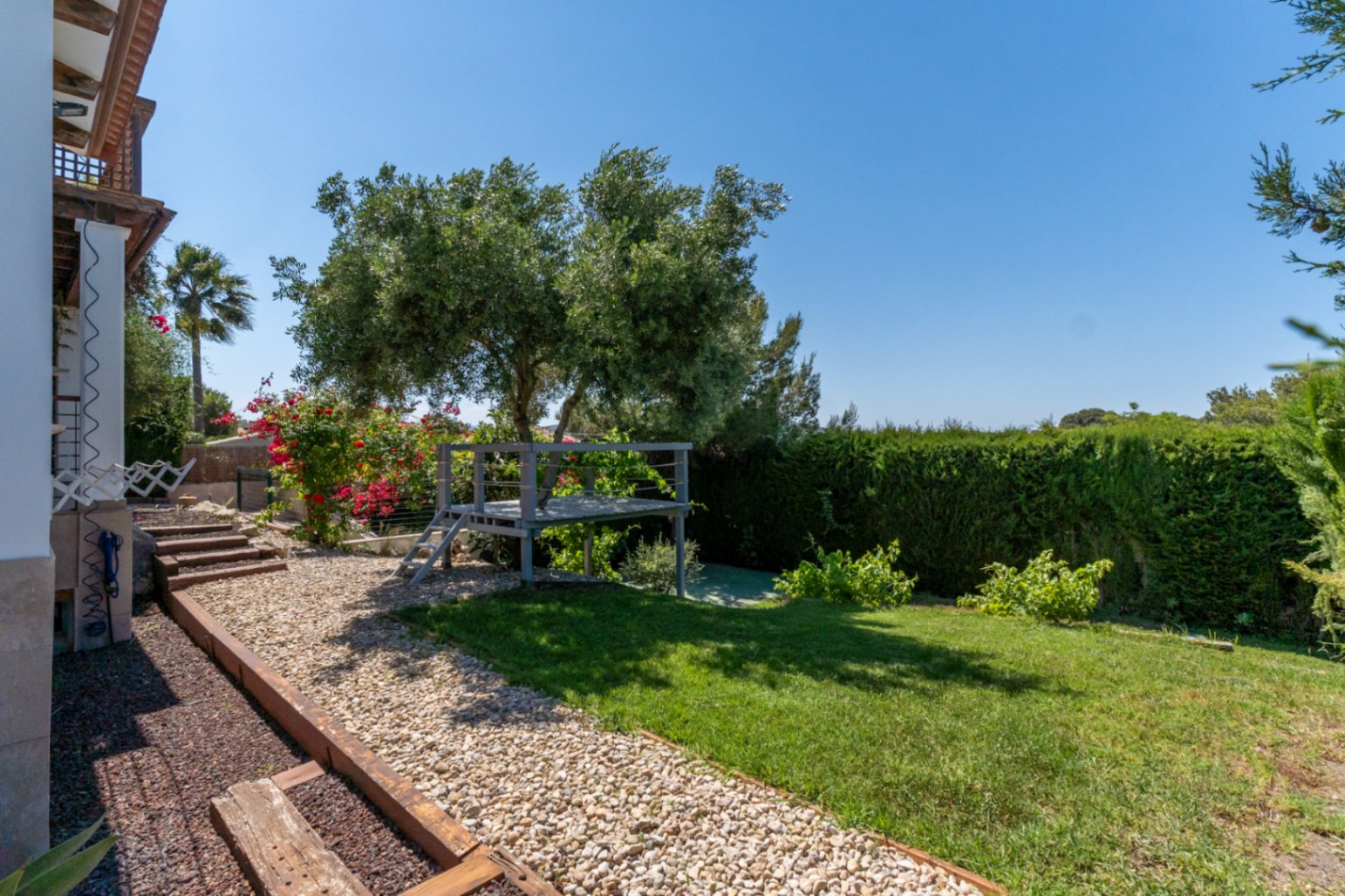 Jardín lateral con césped, camino de grava y traviesas de madera. Destaca una plataforma elevada bajo un olivo, rodeada de setos altos y vegetación mediterránea.