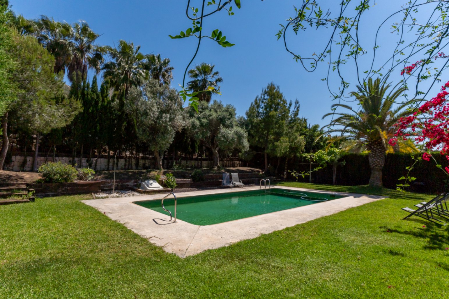 Piscina exterior rodeada de césped natural y vegetación mediterránea, con palmeras, pinos y buganvillas bajo un cielo despejado.