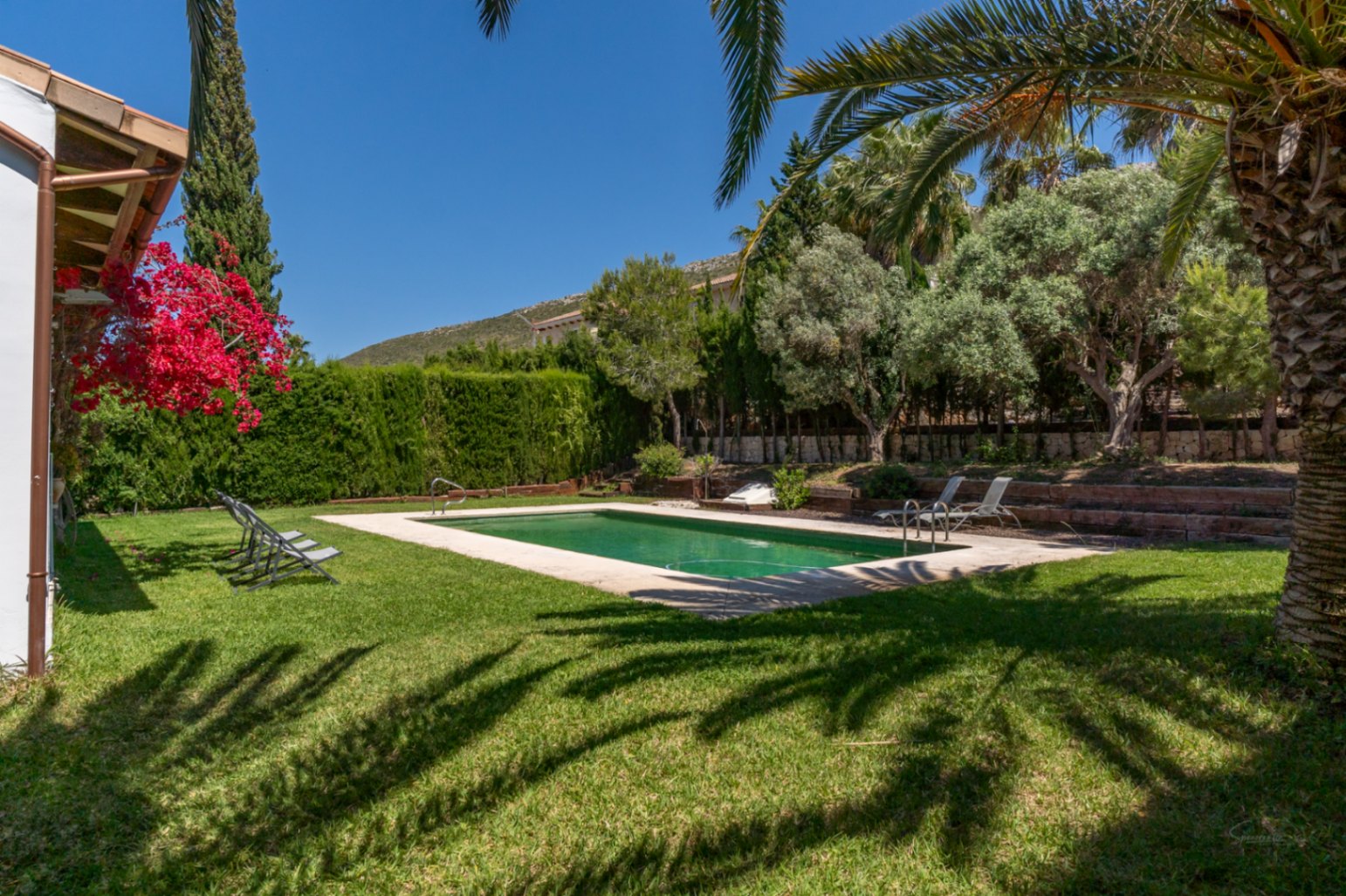 Piscina exterior rodeada de un amplio jardín con césped, palmeras y buganvillas, con vistas a la montaña bajo un cielo despejado.
