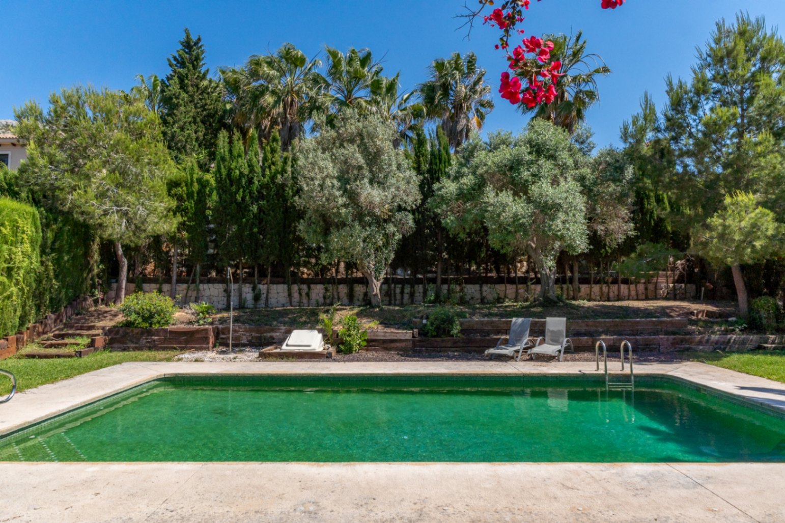 Piscina exterior rodeada de un jardín mediterráneo con palmeras y olivos, delimitado por bancales de madera y muros de piedra natural.