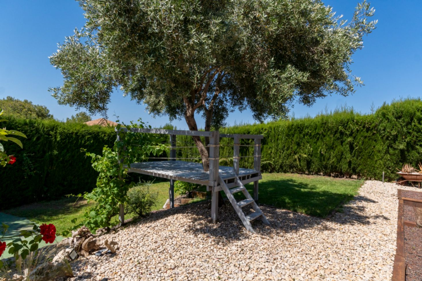 Plataforma elevada de madera construida alrededor de un olivo en el jardín, rodeada de césped, grava blanca y un seto perimetral que garantiza total privacidad.