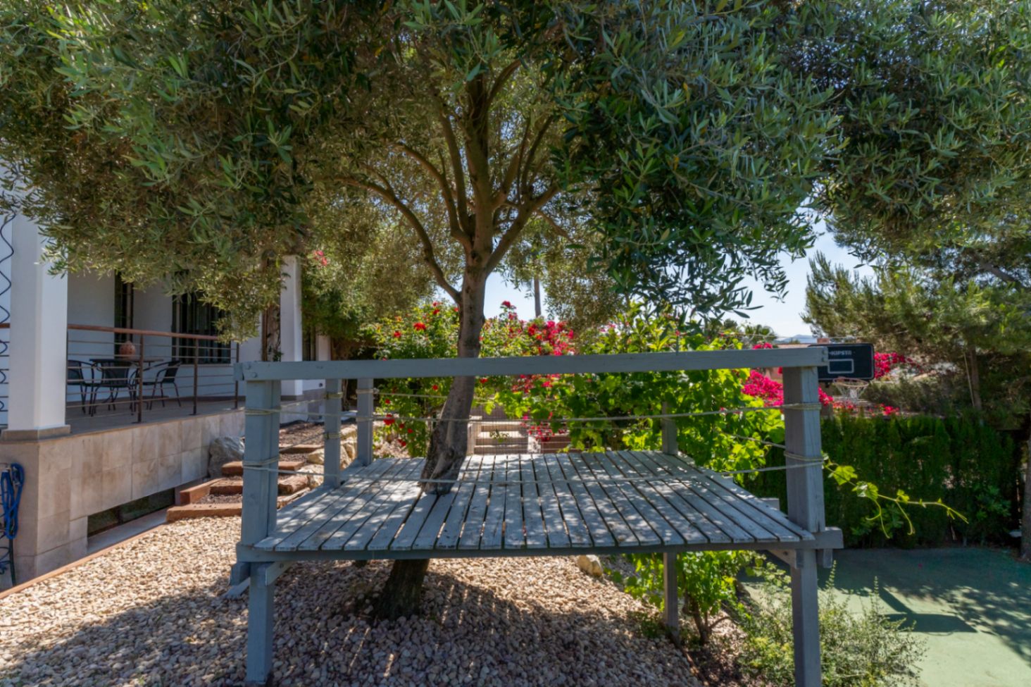 Plataforma elevada de madera gris construida alrededor de un olivo, situada en un jardín mediterráneo con grava y flores ornamentales.