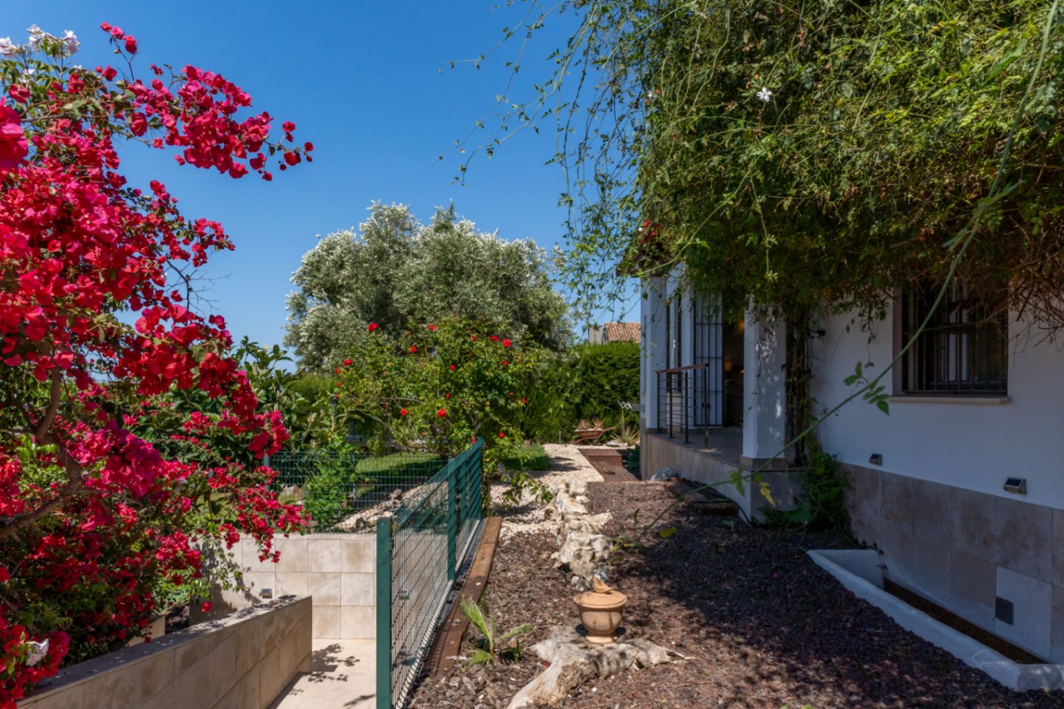 Vista exterior del jardín mediterráneo con buganvillas en flor, senderos de grava y vegetación madura junto a la fachada de la villa con zócalo de piedra.