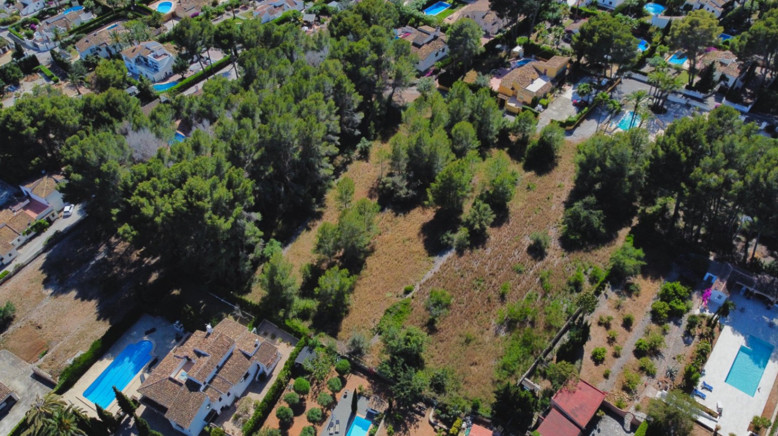 Vista aérea de una amplia parcela llana rodeada de pinos maduros y villas residenciales consolidadas con piscinas privadas en Jávea.