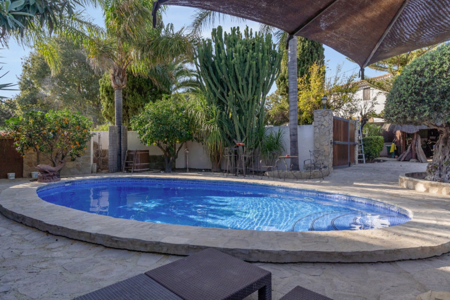 Piscina ovalada con mosaico azul, rodeada de pavimento de piedra natural y un jardín mediterráneo con palmeras, cactus y cítricos bajo el sol.