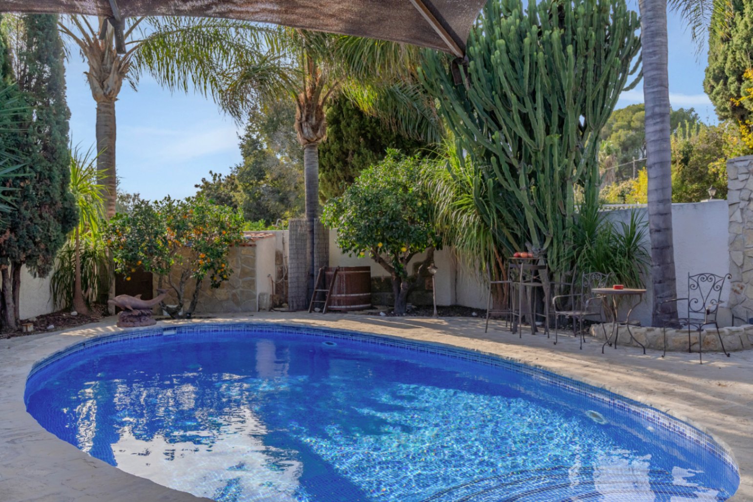 Piscina ovalada con revestimiento de gresite azul, rodeada de una terraza de piedra y vegetación mediterránea con palmeras, cactus y cítricos.