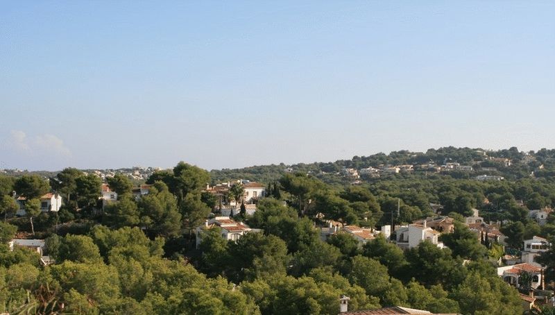 Vistas panorámicas elevadas sobre un valle residencial en Costa Nova, con villas blancas tradicionales integradas en un denso bosque de pinos mediterráneos.