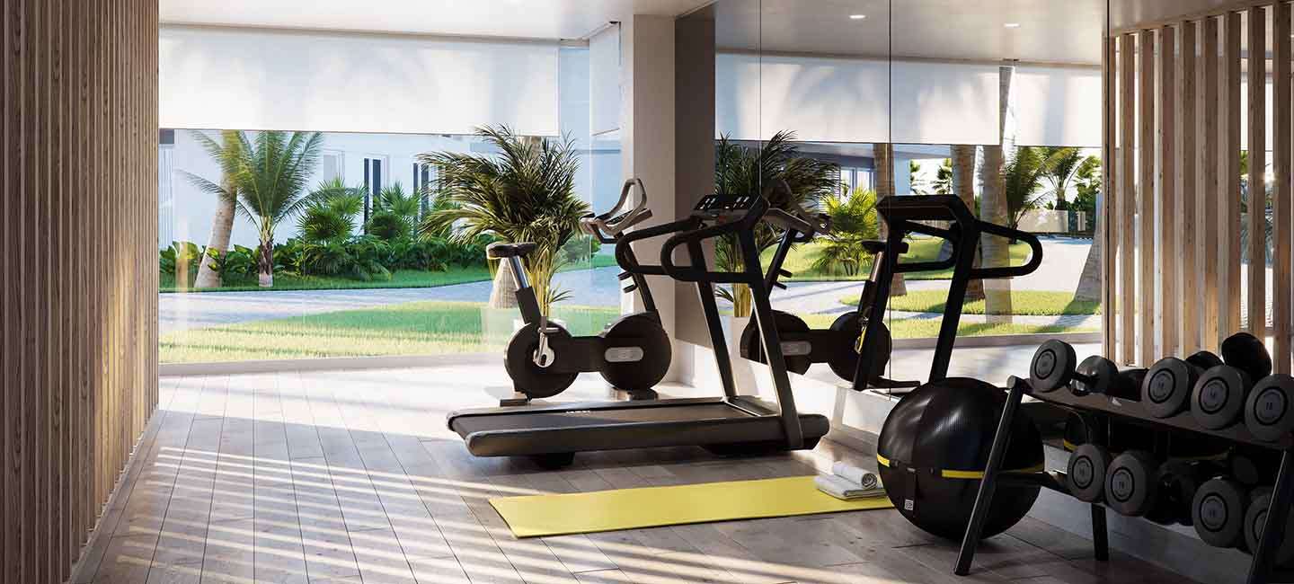 Gimnasio comunitario moderno con máquinas de cardio, pesas y amplios ventanales que ofrecen vistas a los jardines mediterráneos y palmeras exteriores.