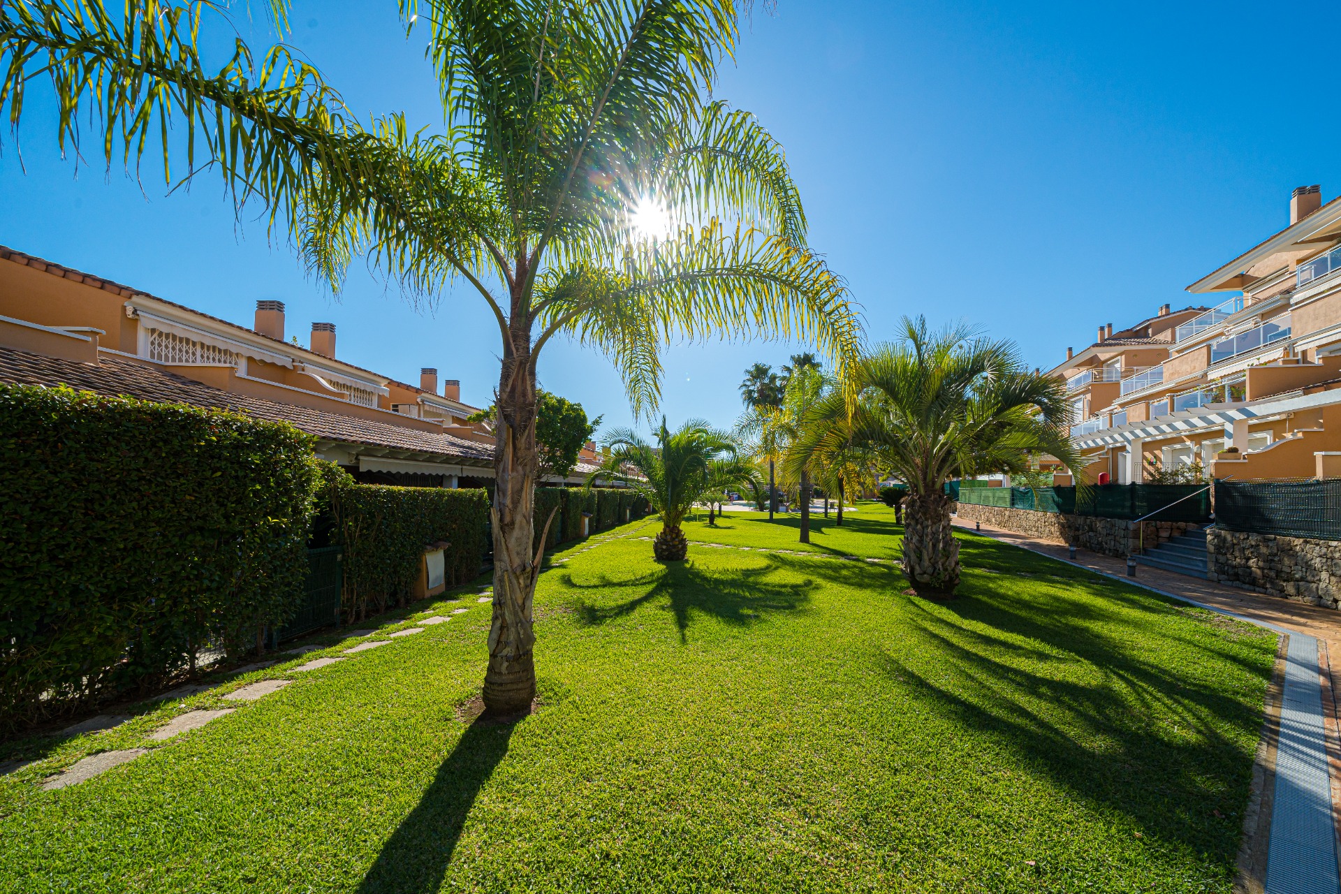 Jardines comunitarios con césped impecable y palmeras adultas, rodeados por edificios de estilo mediterráneo en el complejo Moreras del Saladar.