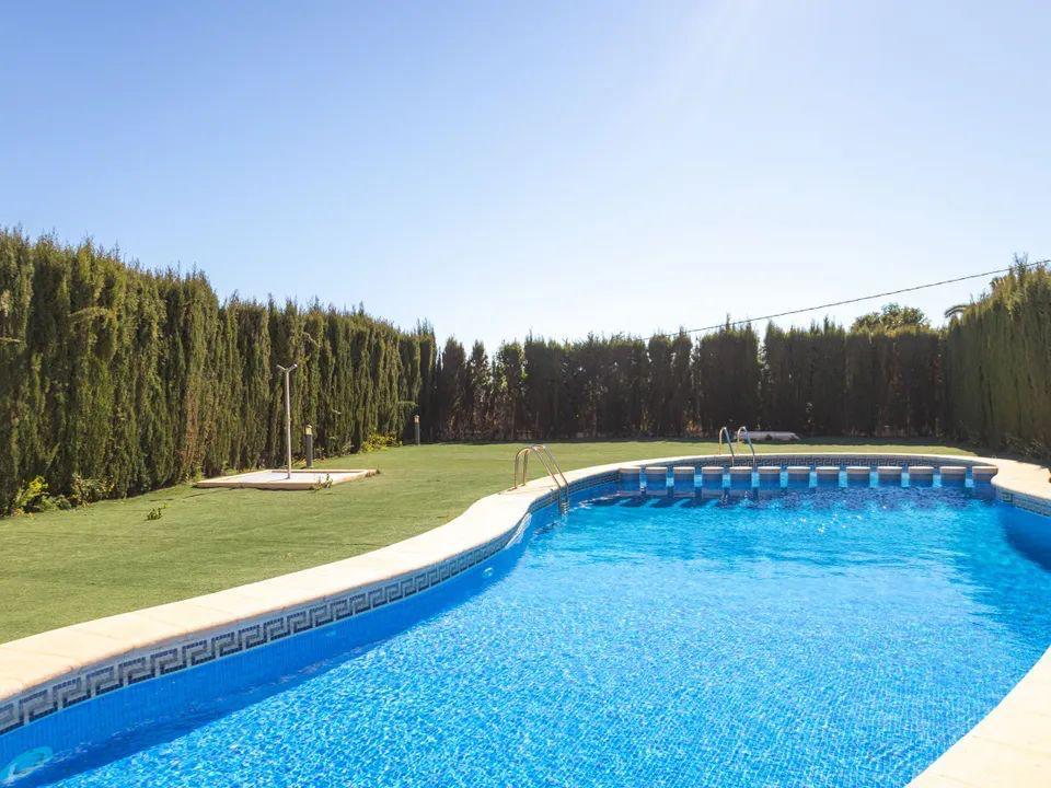 Piscina comunitaria de forma curva con gresite azul, rodeada de una amplia zona de césped y un seto perimetral alto que garantiza total privacidad.