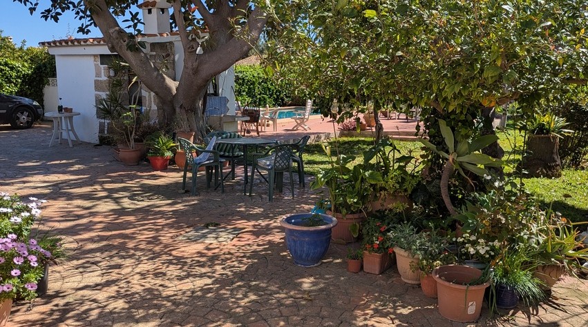 Patio exterior pavimentado con zona de estar bajo árboles maduros, rodeado de plantas ornamentales en macetas y con vistas a la piscina privada al fondo.