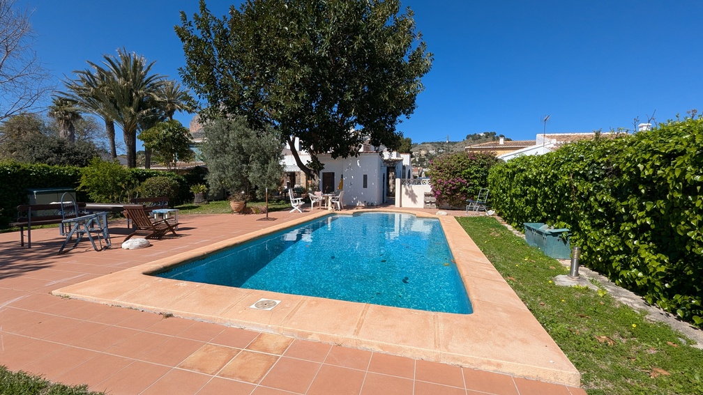 Piscina privada rectangular rodeada de una terraza de baldosas de terracota y jardines maduros con palmeras y setos altos que garantizan privacidad.