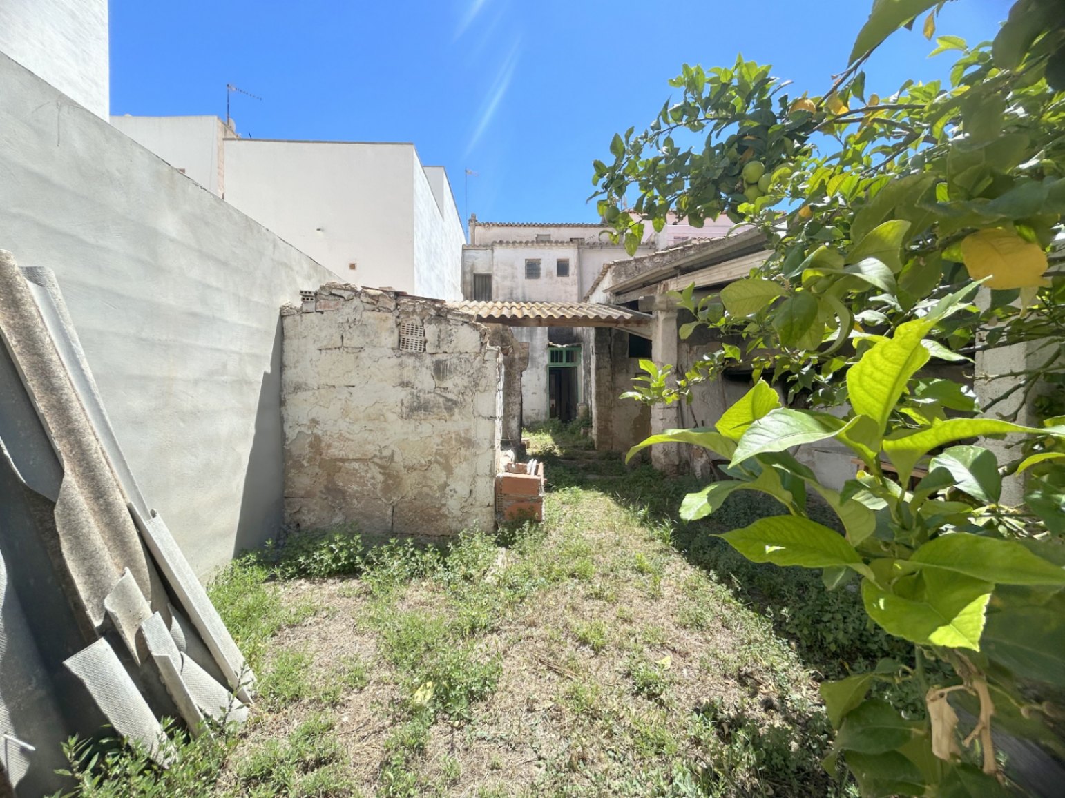Jardín trasero con muros de piedra original, vegetación autóctona y antiguas construcciones anexas que ofrecen un gran potencial de rehabilitación bajo el sol mediterráneo.