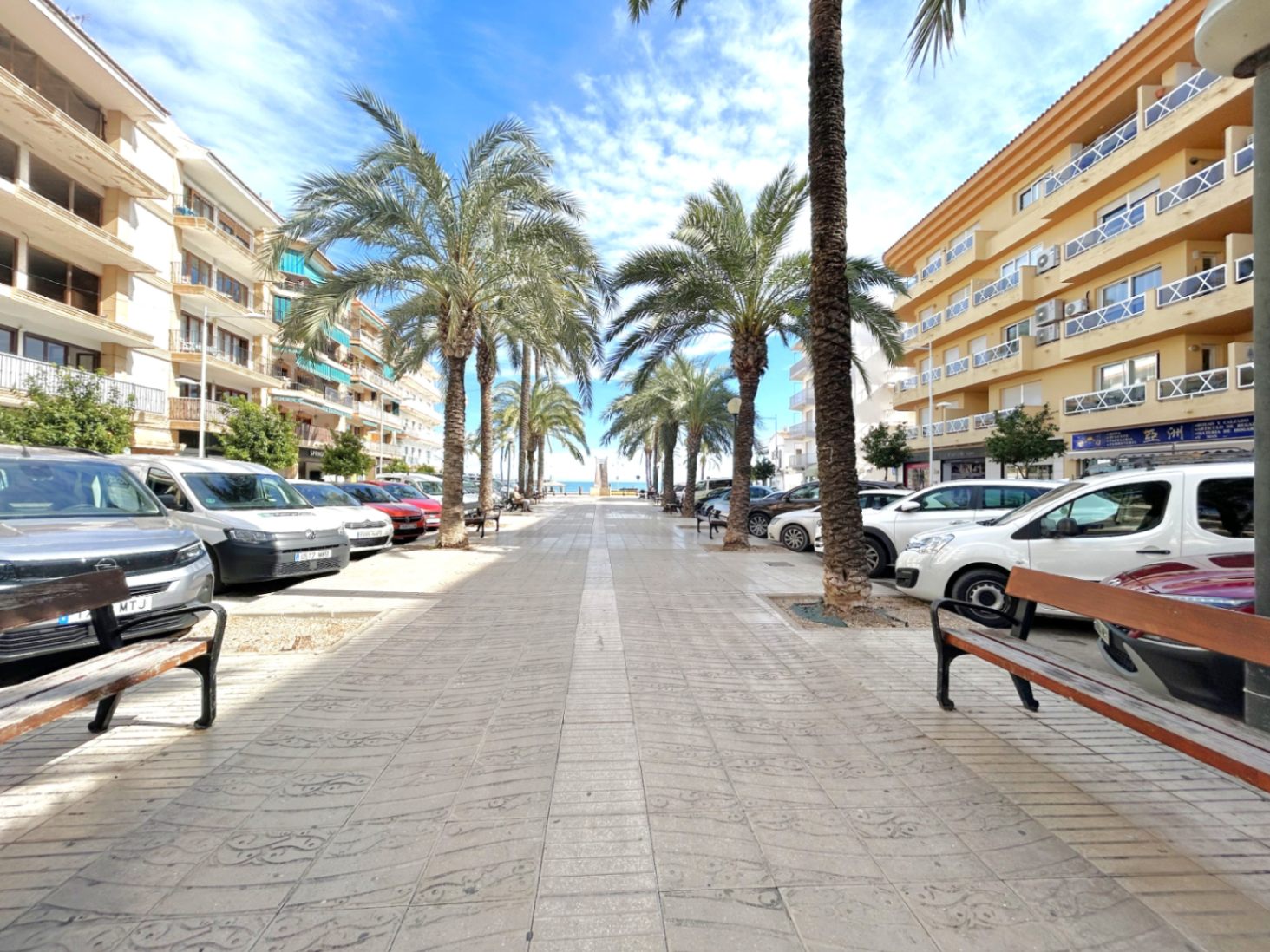Paseo peatonal pavimentado flanqueado por altas palmeras y edificios residenciales, con bancos de madera y vistas despejadas hacia el mar al fondo.