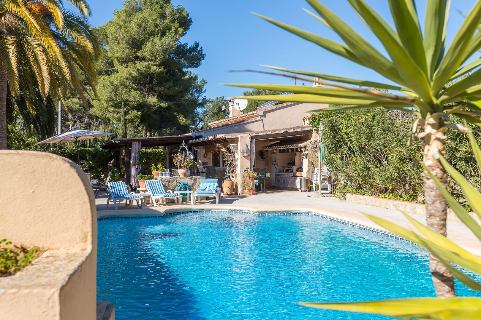 Piscina climatizada rodeada de una amplia terraza con tumbonas, junto a una cocina de verano cubierta y vegetación mediterránea madura.