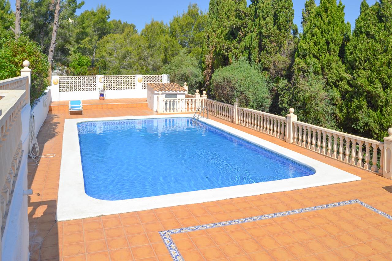 Piscina rectangular de 12x6 metros con gresite azul, rodeada por una terraza de terracota con cenefas decorativas y balaustradas de piedra bajo un entorno arbolado.