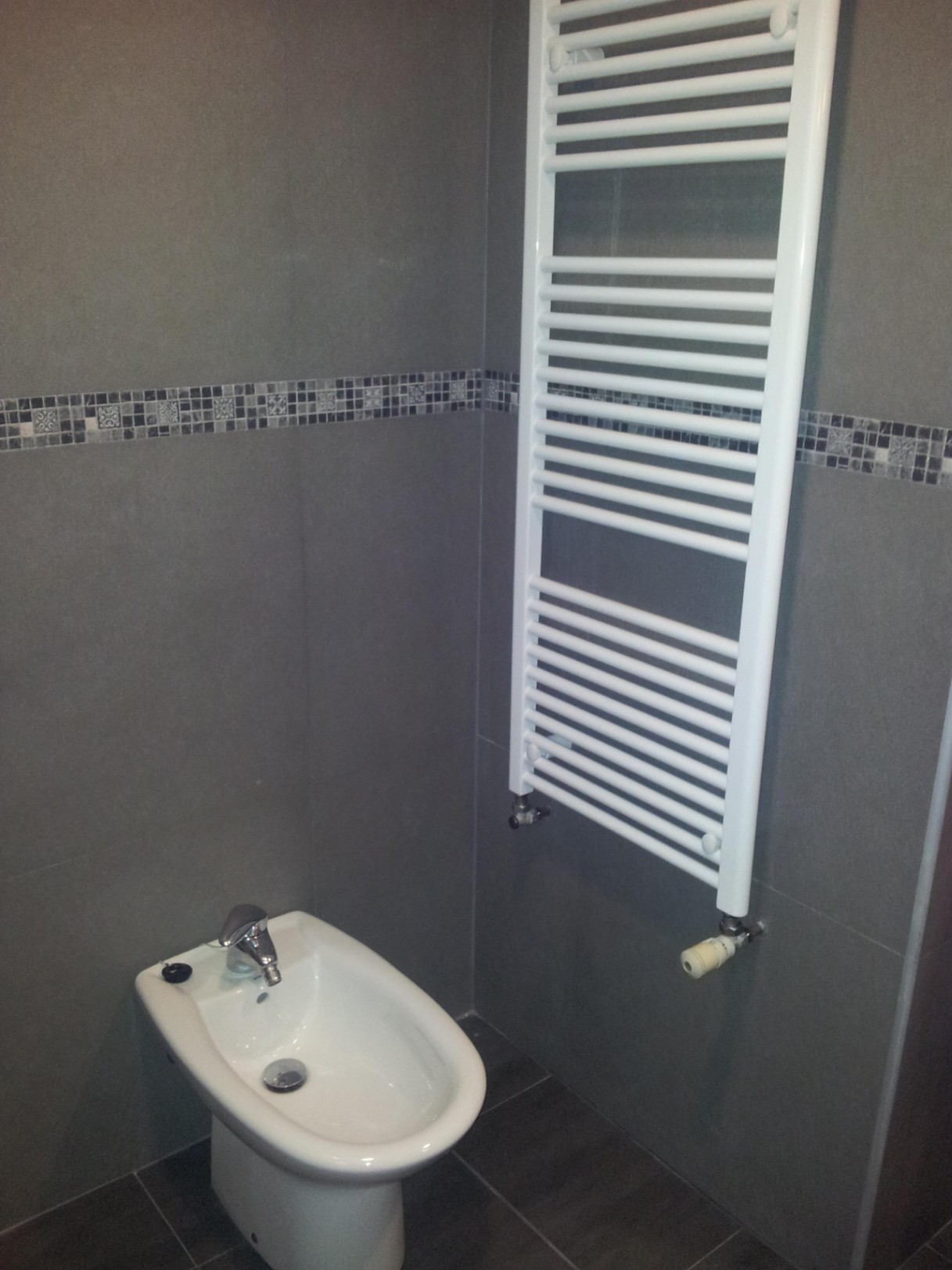 Baño con bidé de porcelana blanca y radiador toallero vertical. Paredes revestidas con azulejos grises y una cenefa decorativa de mosaico.