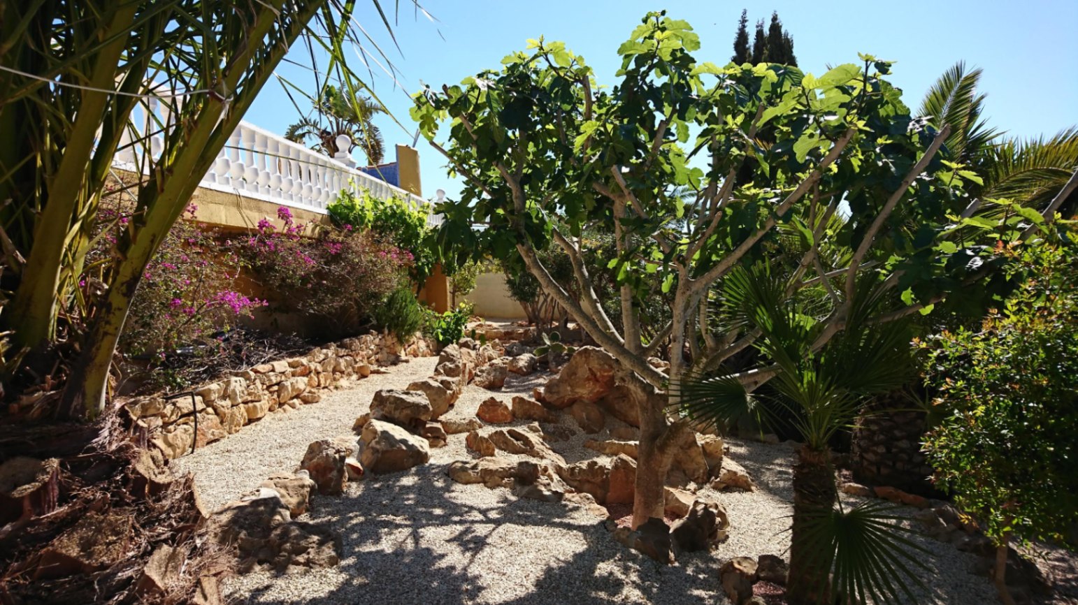Jardín mediterráneo con senderos de grava, rocas naturales, una higuera central y muros de piedra bajo una terraza con balaustrada blanca.