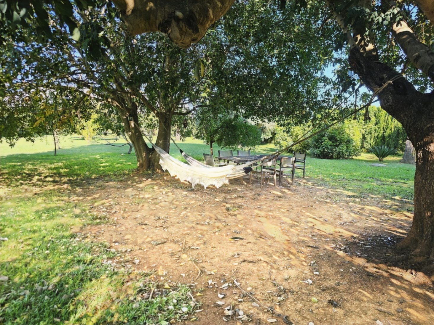 Zona de descanso sombreada bajo árboles maduros, con una hamaca blanca y mobiliario de jardín rodeado de extensas áreas verdes.