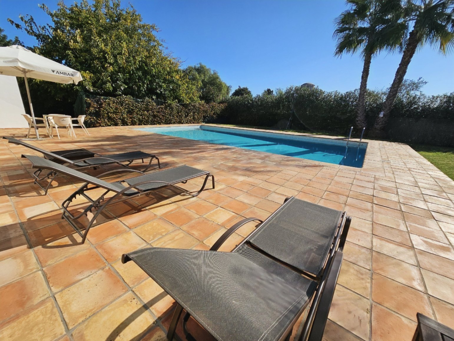 Zona de piscina rodeada por una amplia terraza de baldosas de barro hechas a mano, equipada con tumbonas y rodeada de vegetación mediterránea y palmeras.