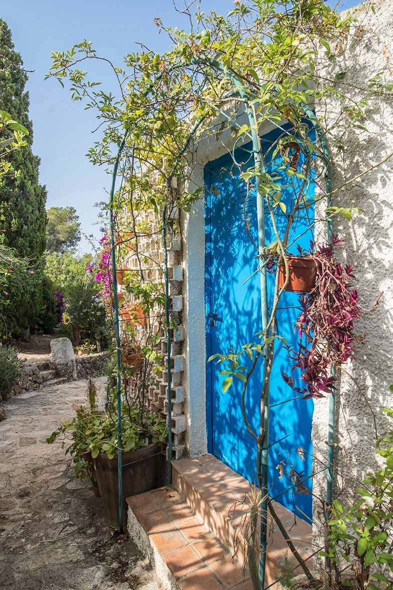 Puerta de entrada azul vibrante enmarcada por un arco metálico con plantas trepadoras, escalones de terracota y un sendero de piedra natural en el jardín.