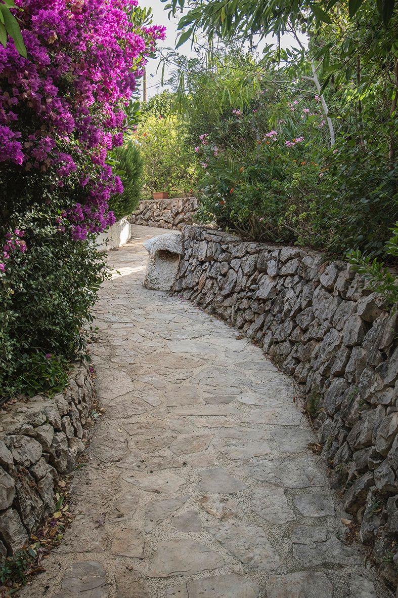 Sendero de piedra irregular flanqueado por muros de piedra seca y vegetación mediterránea, destacando una buganvilla en flor.