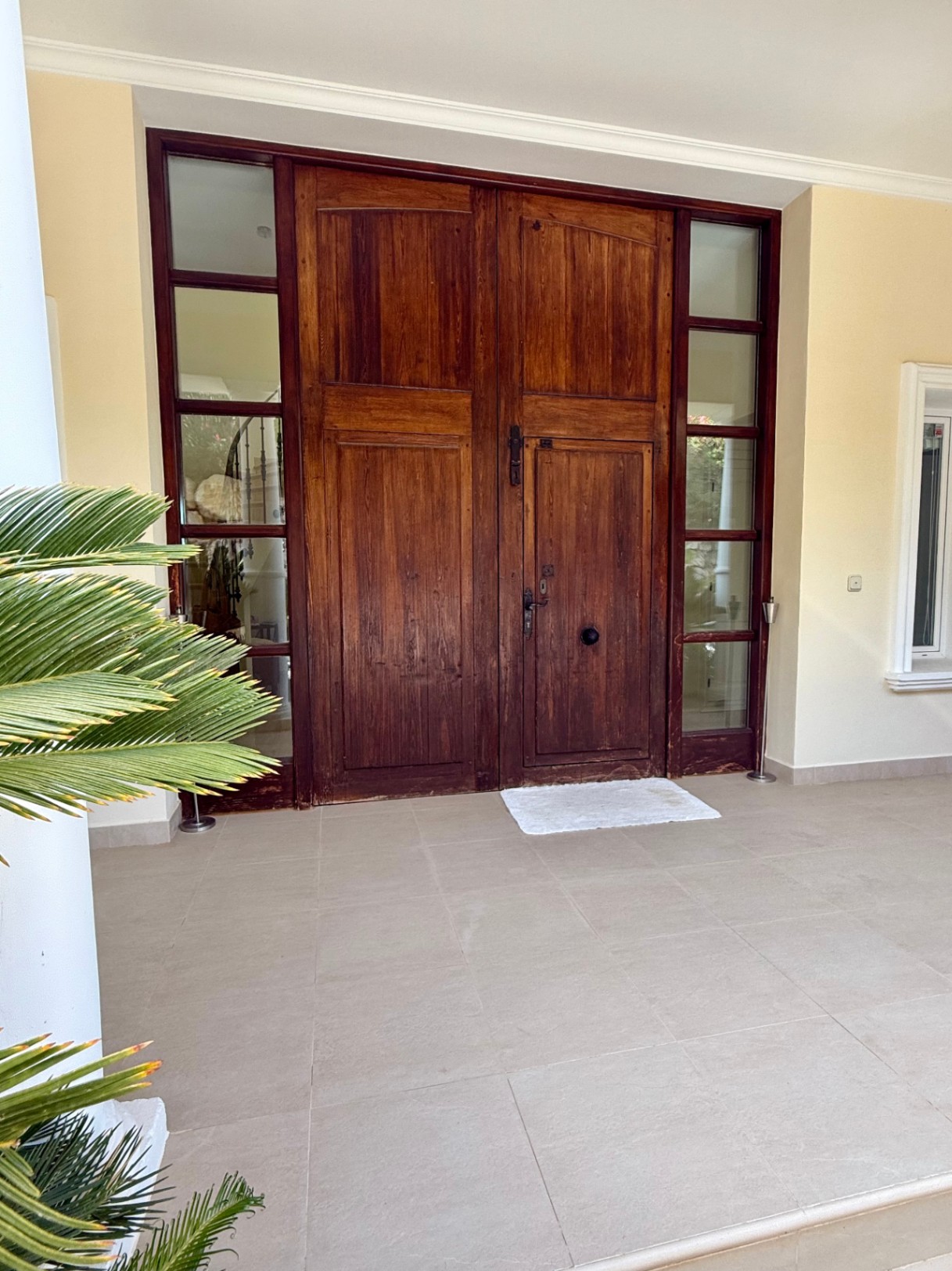 Entrada principal con imponente puerta de madera maciza, flanqueada por ventanales laterales que aportan luz natural al vestíbulo sobre un suelo porcelánico neutro.