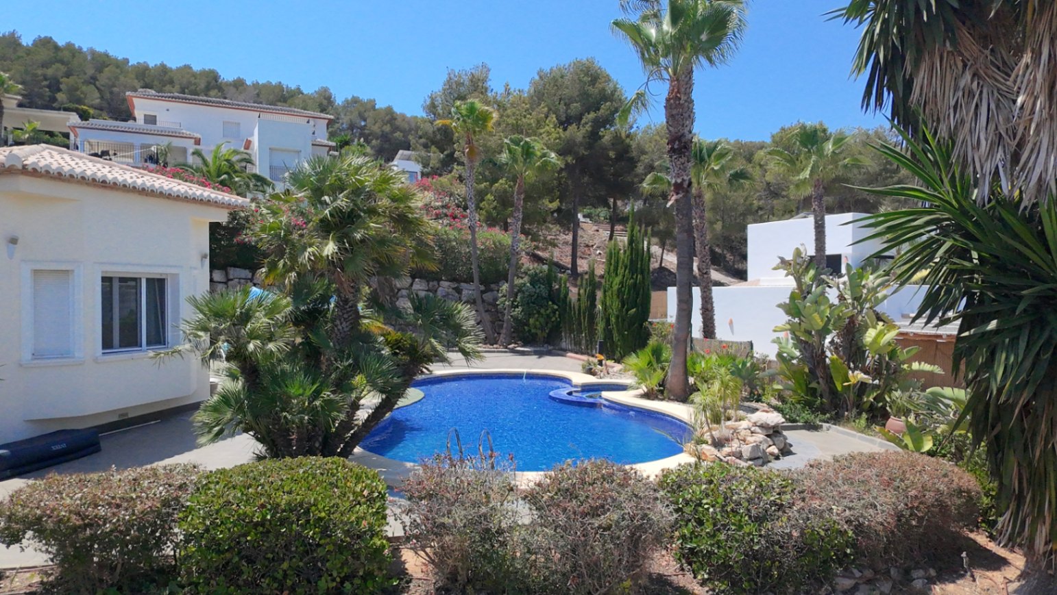 Piscina de diseño curvo rodeada por un jardín mediterráneo con palmeras y arbustos, situada junto a la fachada blanca de la propiedad bajo un cielo despejado.